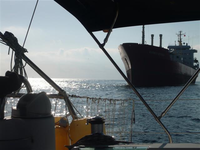 [P1110647+(Small).JPG]