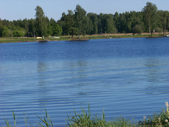 [20090531_19.JPG]