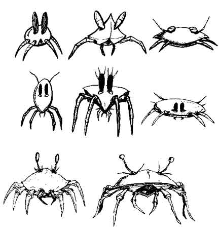 [sketchbook_crabs_web.jpg]