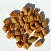 Fenugreek In Hindi