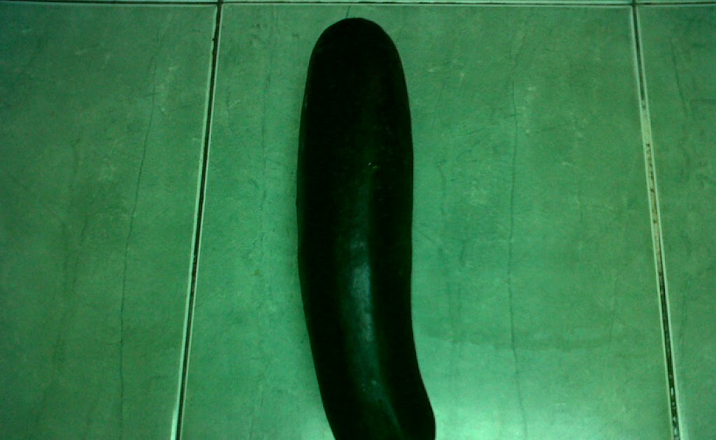 Sabri Familie Puree Zucchini