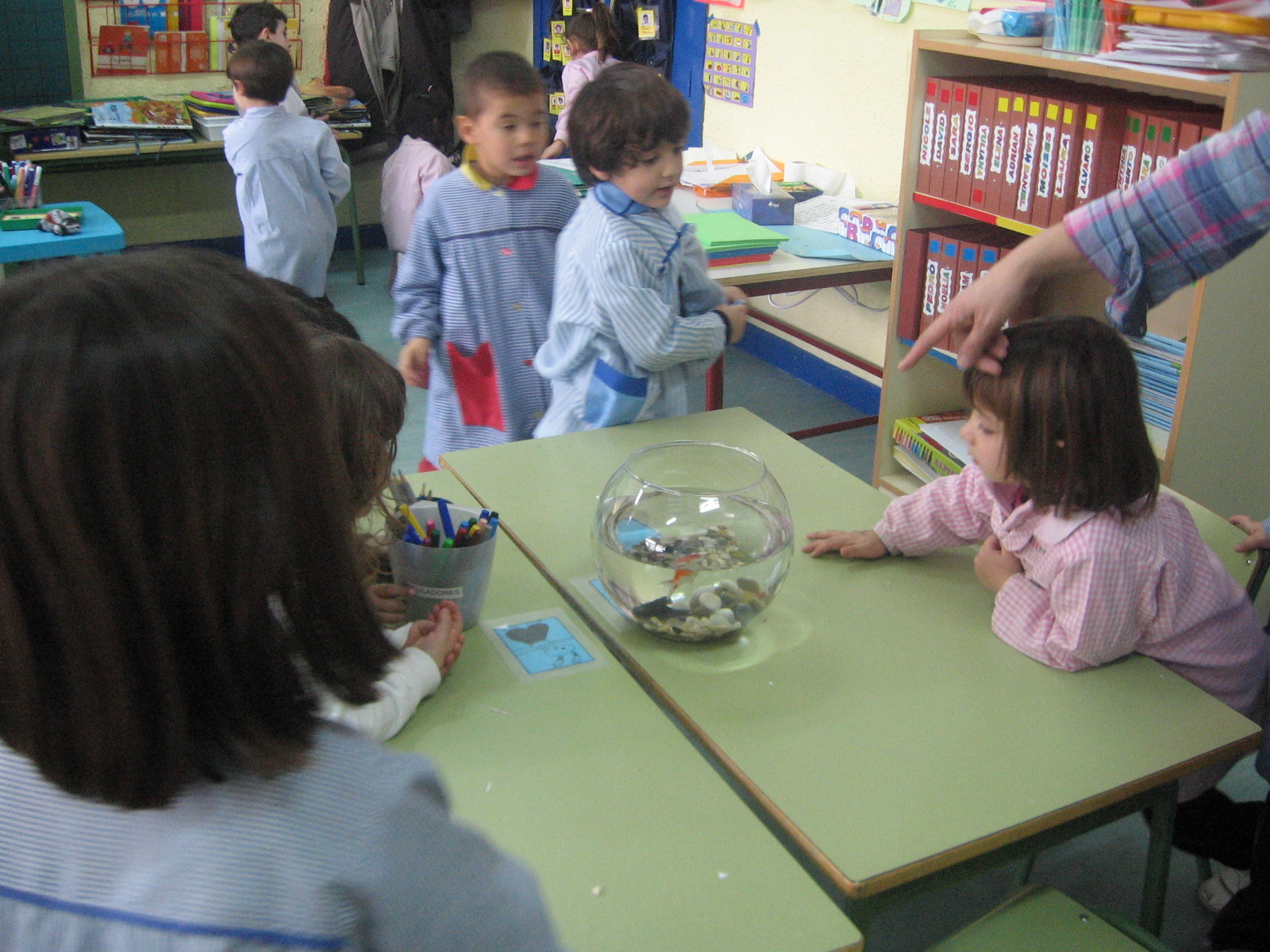 [IMG_5219.JPG]