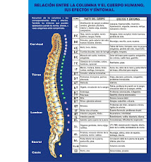 Relación entre la Columna Vertebral y el Cuerpo Humano: Efectos y Síntomas