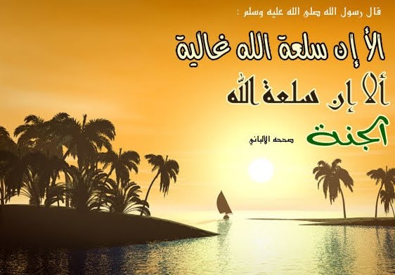 وأستوصوا بالنساء خيرا النساء شقائق الرجال من وصايا رسولنا