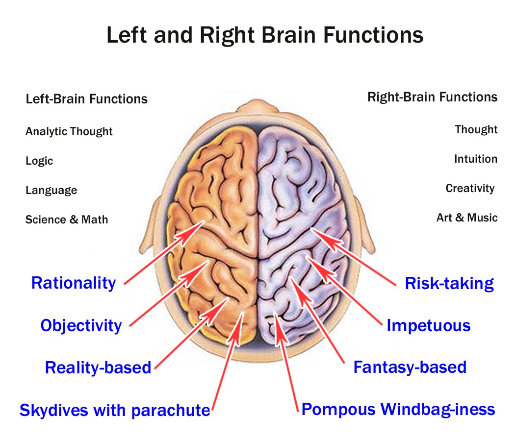 R-L-brain+-JPG.jpg