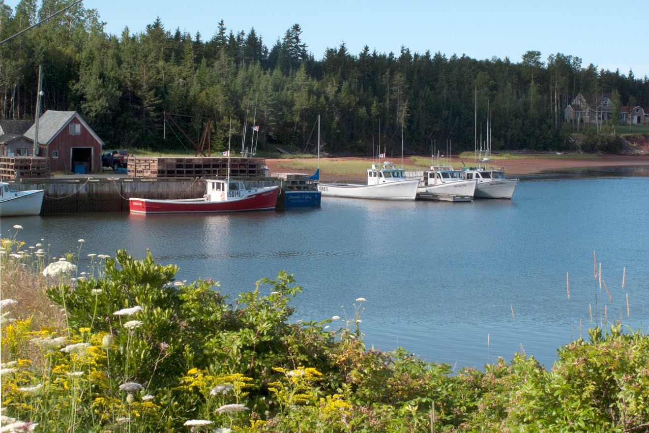 Lee's Backporch Points East Coastal Drive P.E.I.