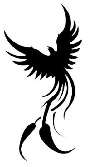 The tribal Phoenix tattoo is one of the most popular designs of the tattoo