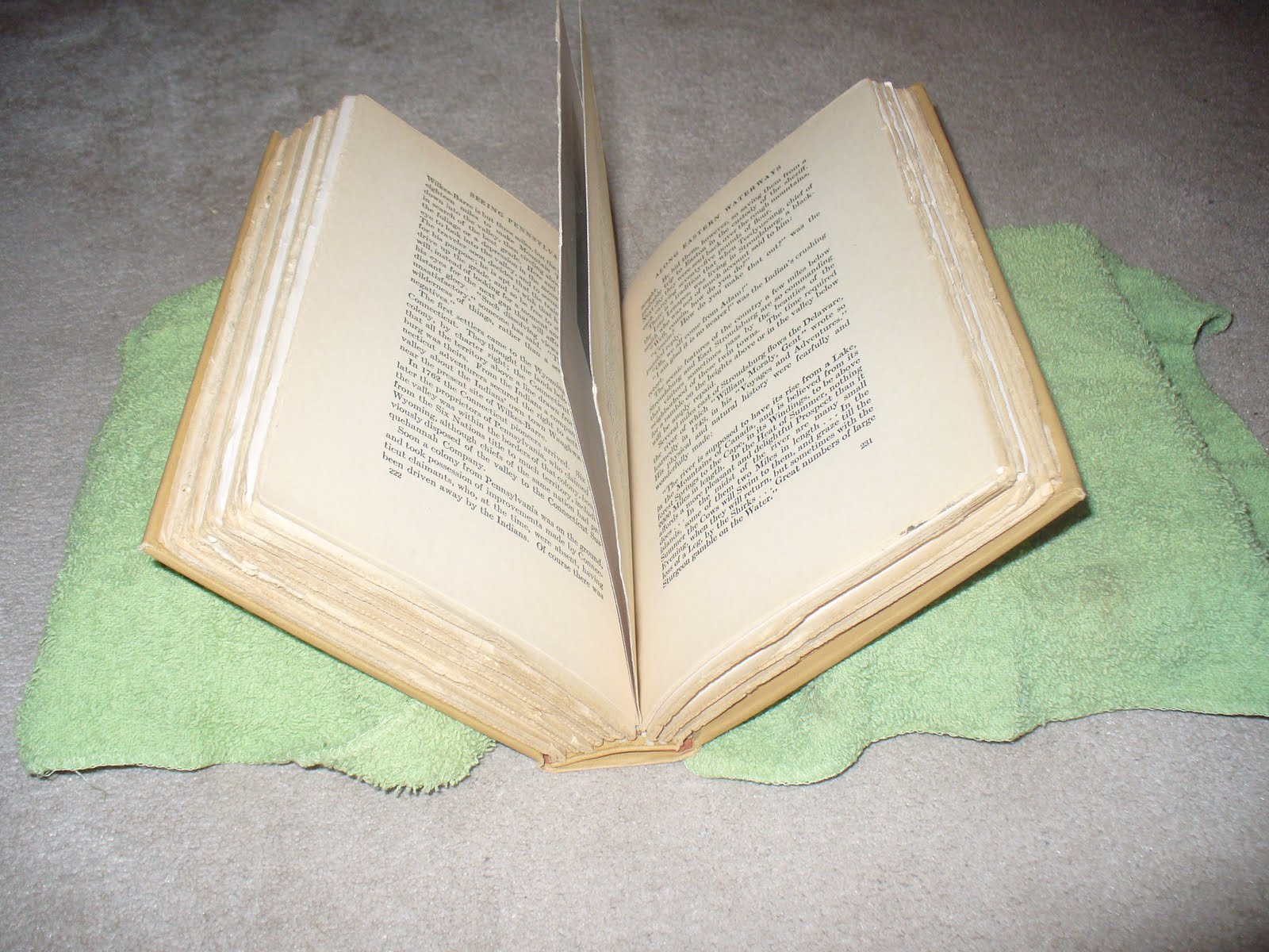 World Turn'd Upside Down How to Preserve Antique Books