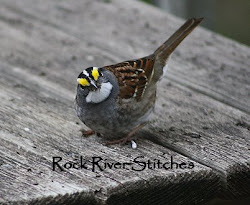 White Throated Sparrow