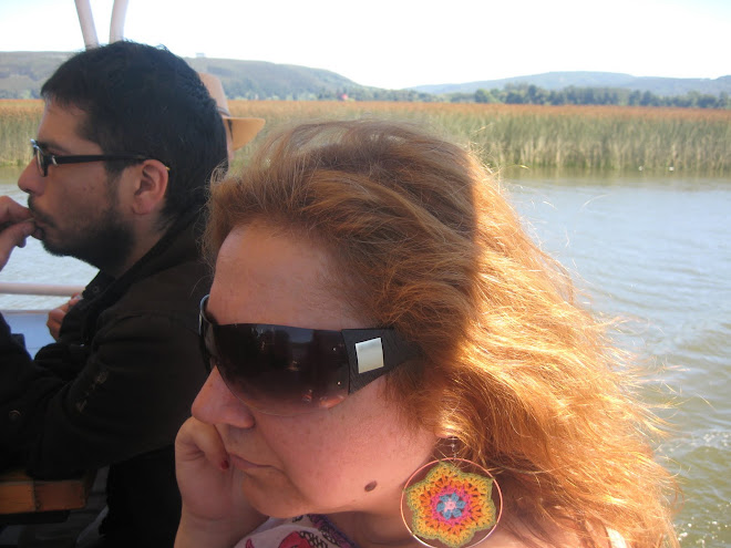 Artistas navegando Río Valdivia