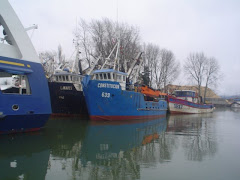 Barcos pesqueros