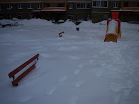 Snowfall Record in Moscow