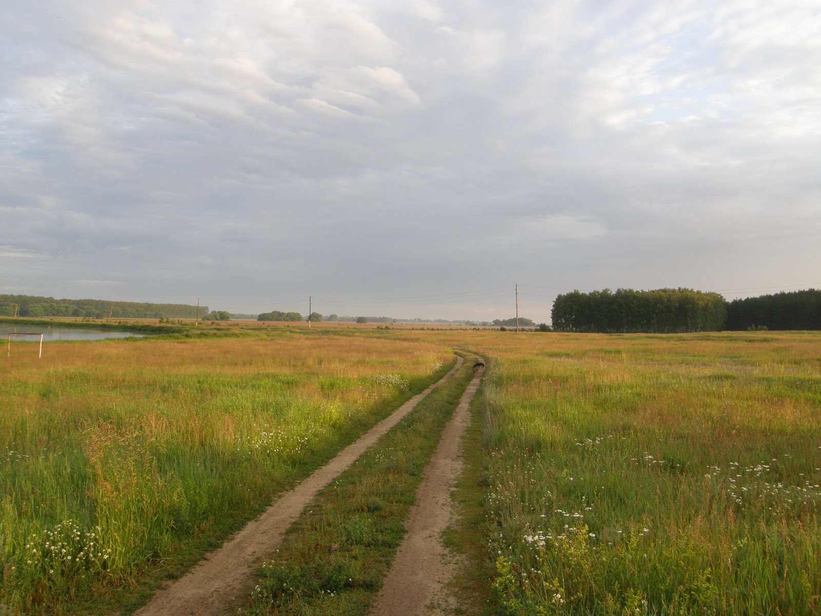 [P6163227.JPG]