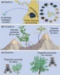 Especiacion Alopatrica