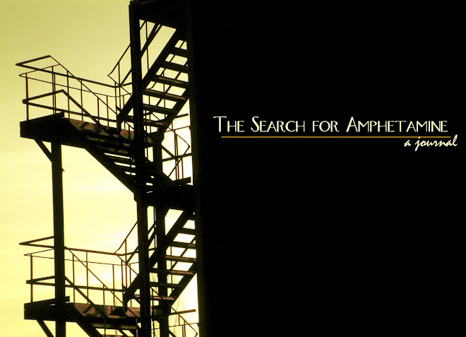 The Search for Amphetamine