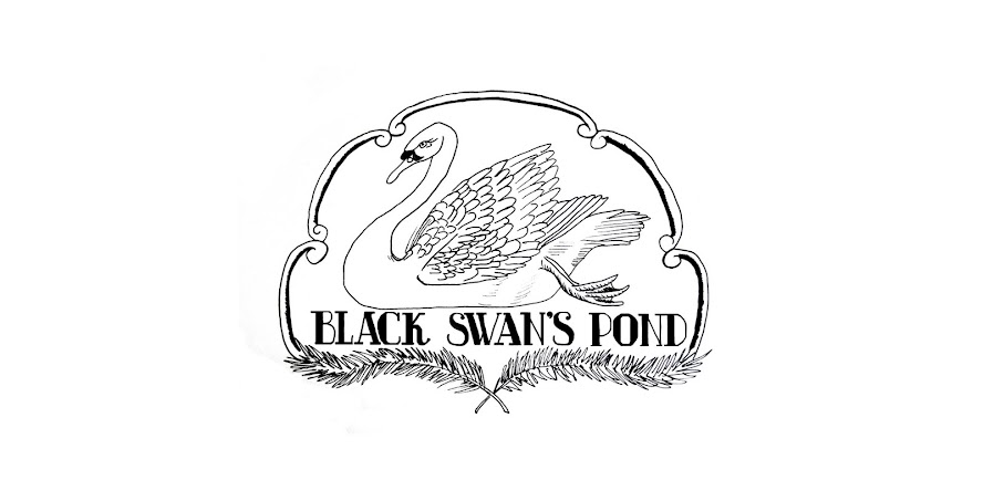 Black Swan's Pond
