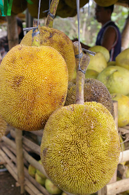 davao fruits