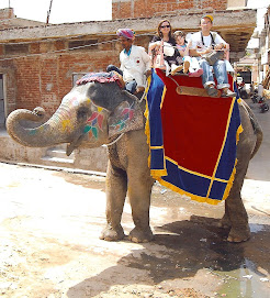 Cerilla's family on elephant