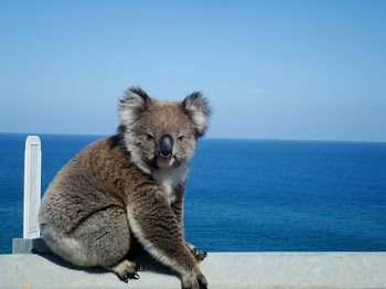 Koala on Guardrail