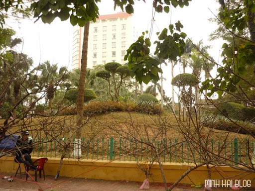 Du xuân