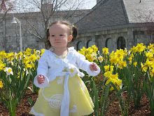 Daisies and Daffodils