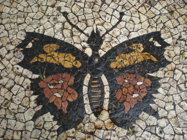 [borboleta_preta.JPG]