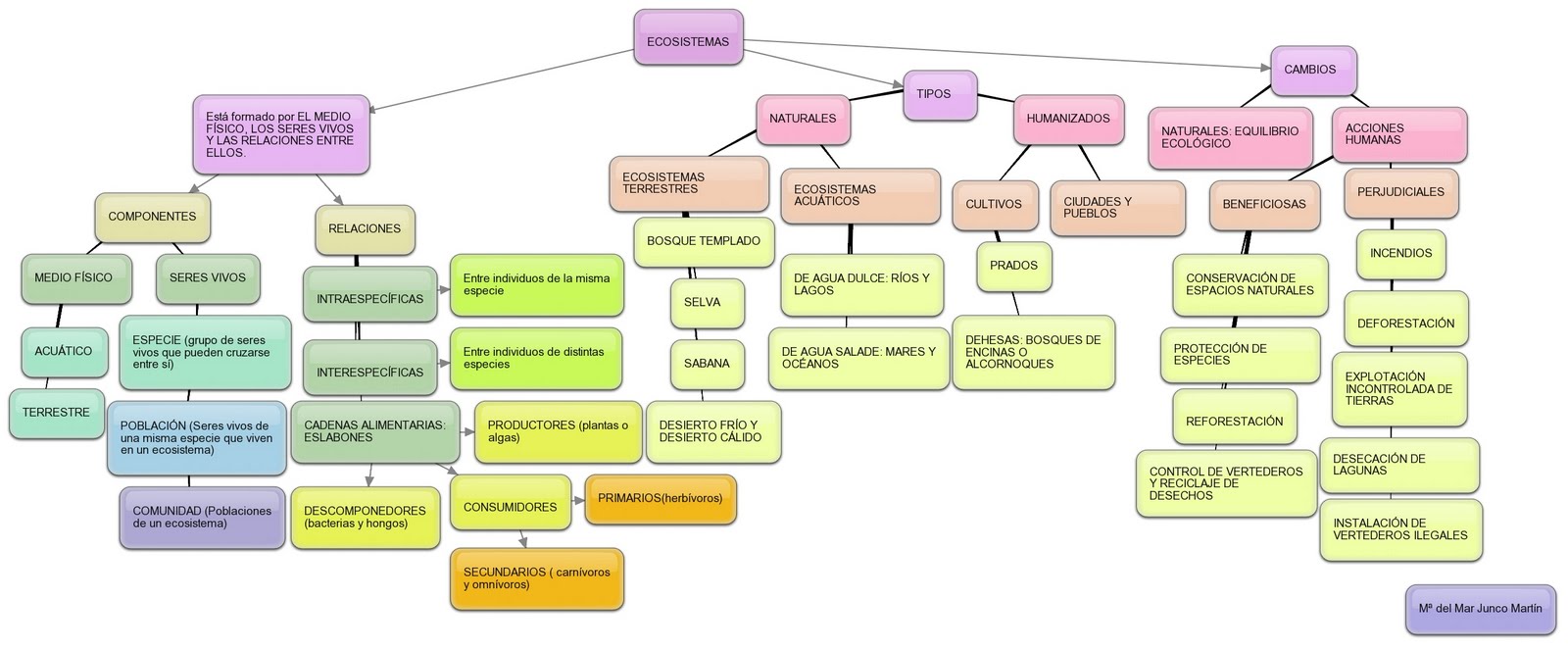 [ECOSISTEMA.jpg]