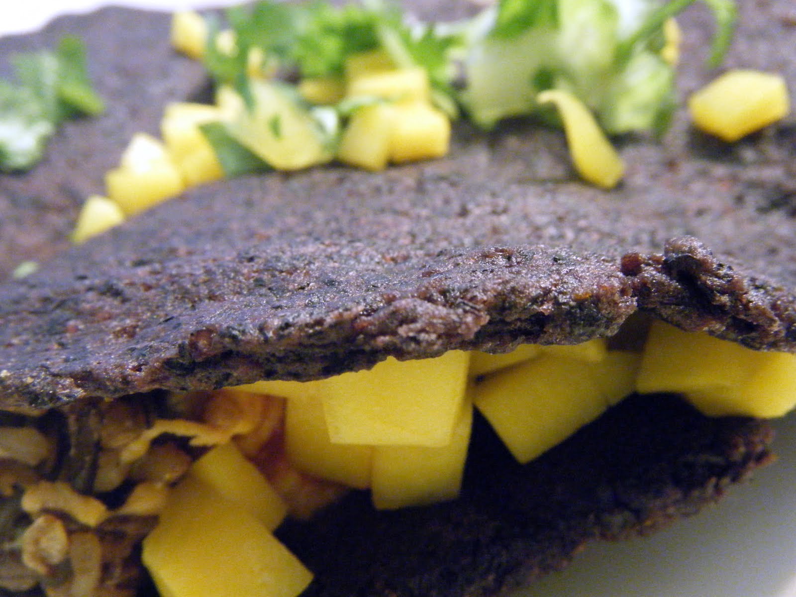 The Celiac Vegan GLUTENFREE CORNFREE TACO SHELLS