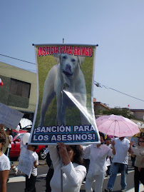 PROTESTA EN SAN BORJA POR GRINGO