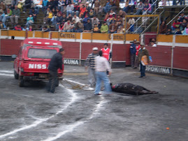 PROTESTA ANTI-TAURINA EN VMT