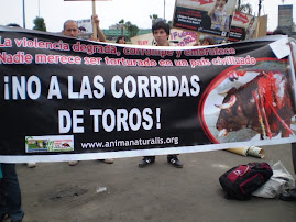 DOM. 23 de NOV. FRENTE ANTI-TAURINO EN ACHO