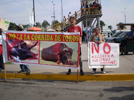 DOMINGO 15: PROTESTA EN ACHO