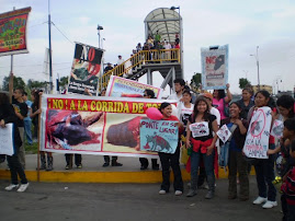 DOMINGO 15: PROTESTA EN ACHO