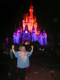 Magic Kingdom - Disneyland