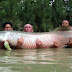 Fishing in Thailand Fishing in Thailand