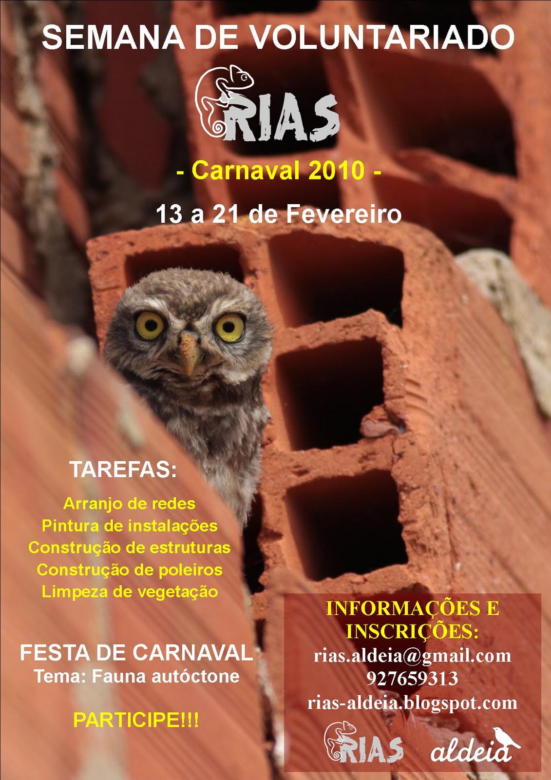 [Cartaz+Semana+Voluntariado+Carnaval+2010.jpg]