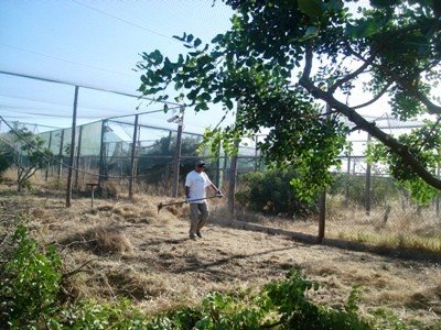 [Camara+exterior5.jpg]