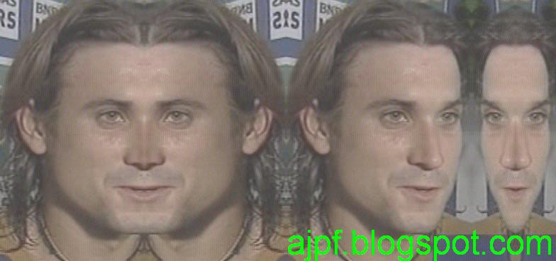 [david+ferrer.JPG]