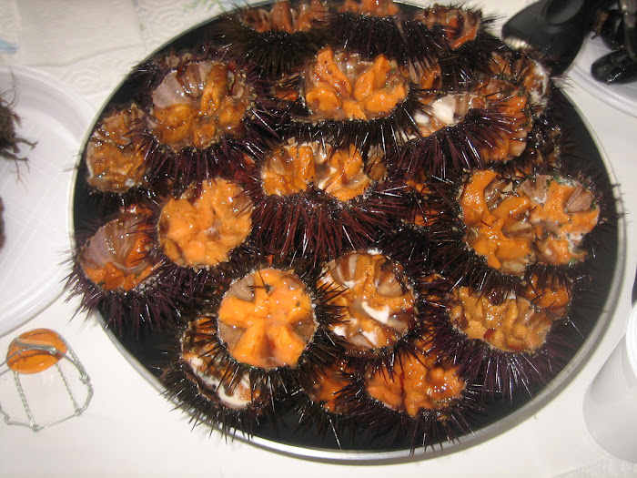 SAPORE DI PUGLIA