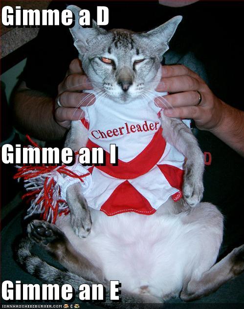 [funny-pictures-cheerleader-cat-wishes-you-would-die.jpg]