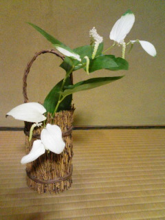 [Hangesho+090702.jpg]