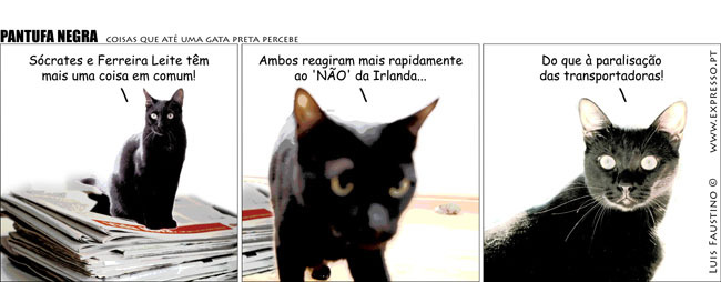 [e399aa08.jpg]
