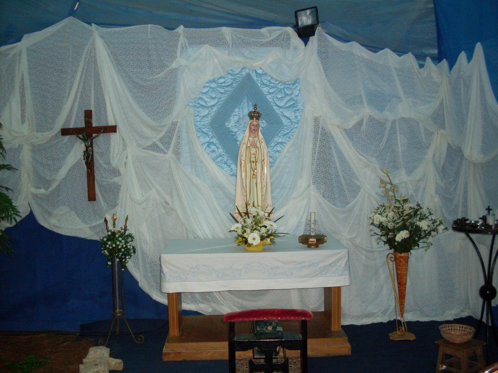 [SDC11116.JPG]