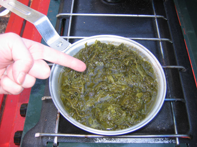 [Pointing+at+spinach.JPG]