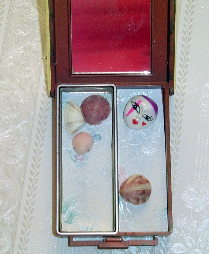 [inside+shells+compact..1.jpg]