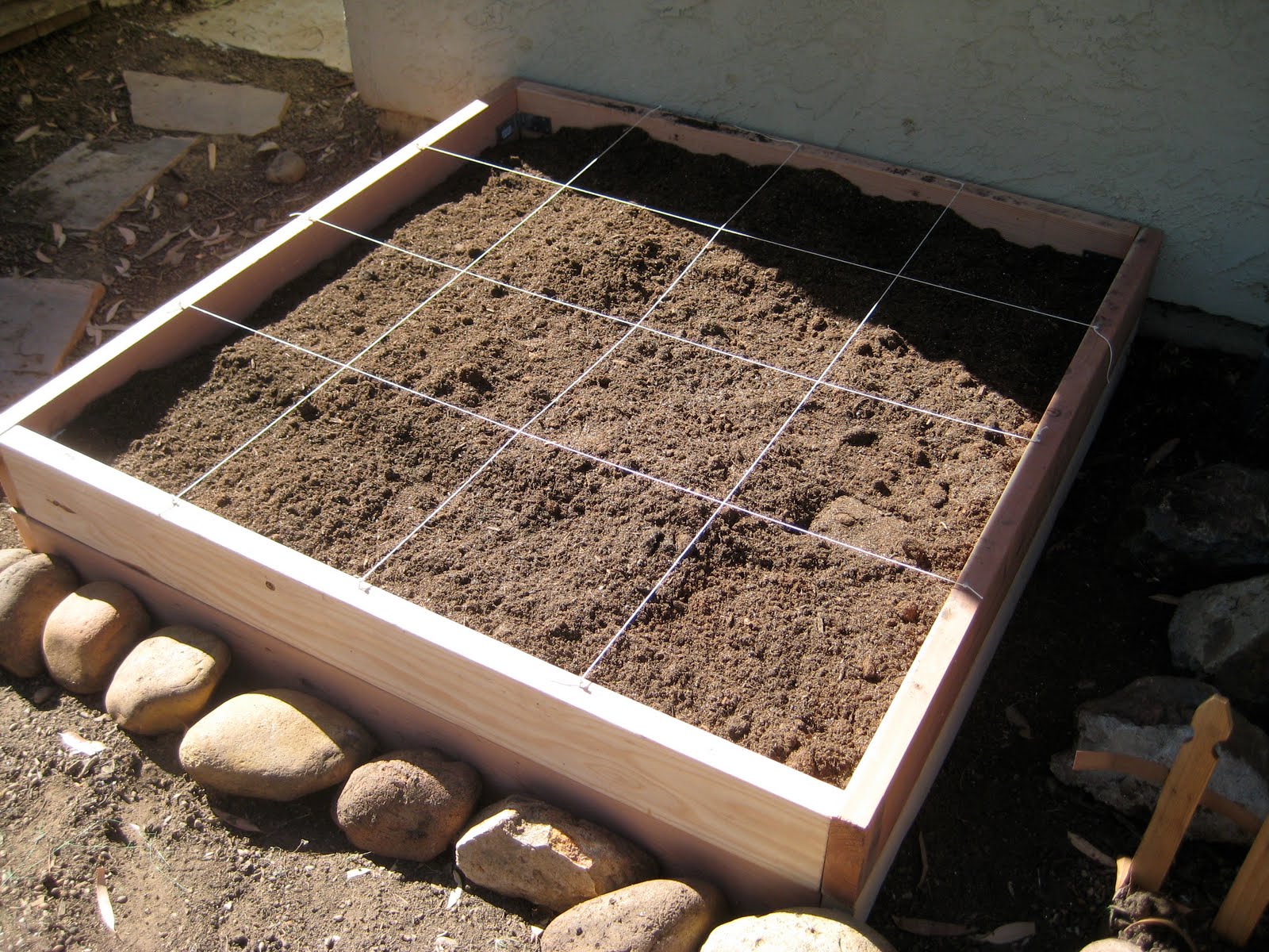 How to Kill a Plant Building My Garden Box