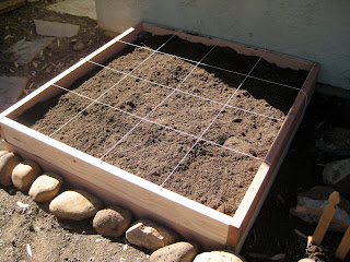 How to Kill a Plant: Building My Garden Box