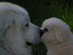 Bell's Chlothilde Lagniappe & Thibodeaux Maximus Patou