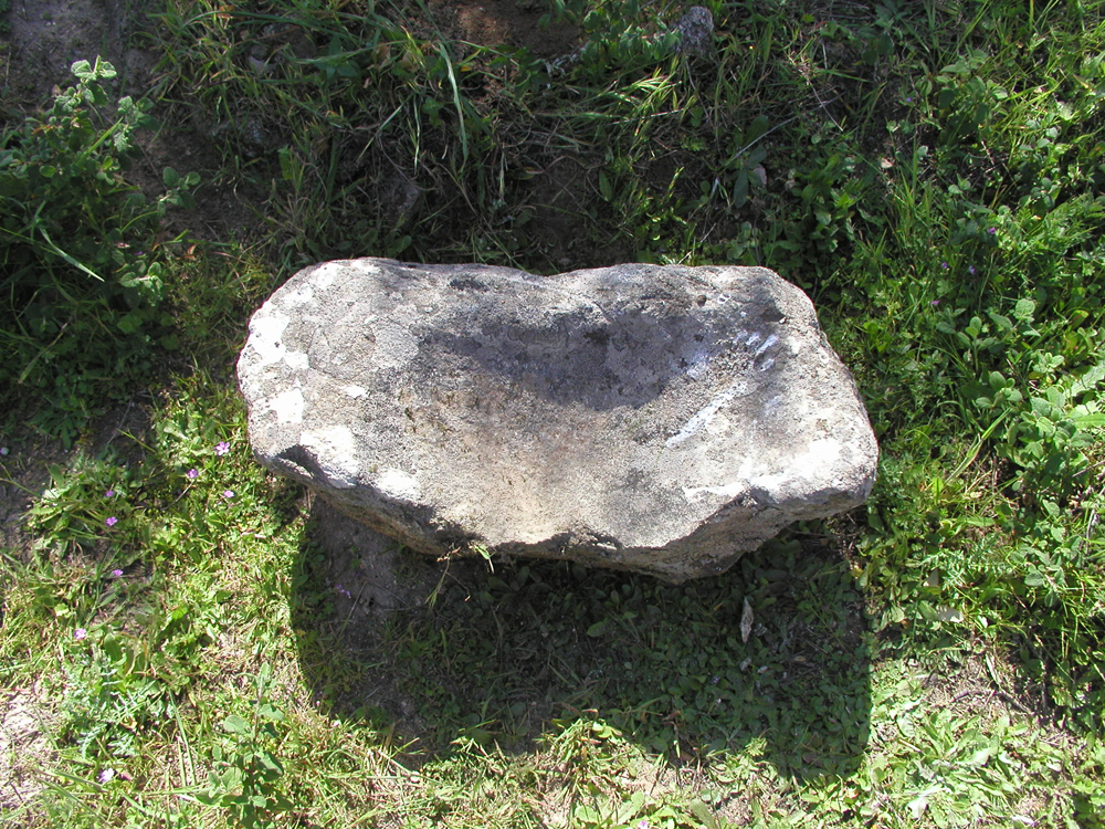 [P1010026.jpg]