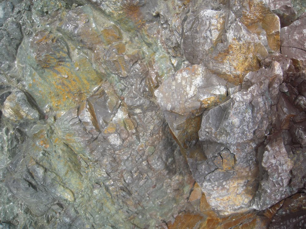 [DSCN2806.jpg]